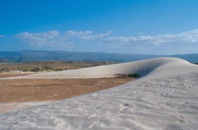 dunebianche