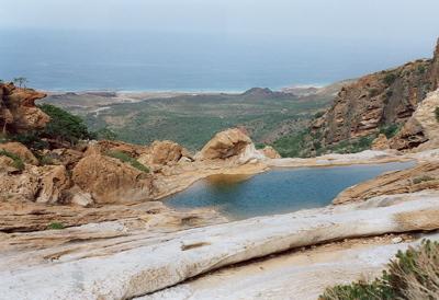 Homhilpiscina