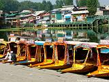 Srinagar-Shikare